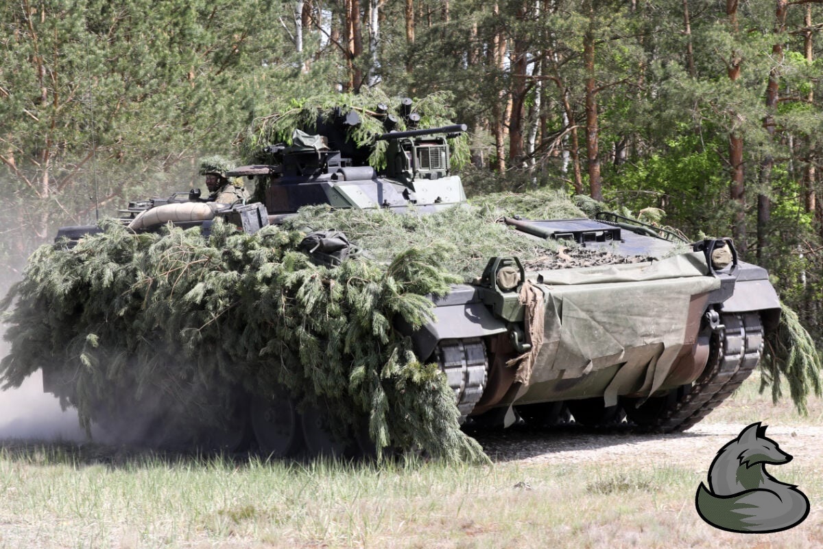 Fuchs - OP Reißzahn