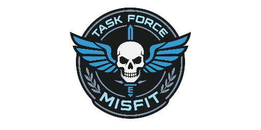 Task Force Misfit 2041